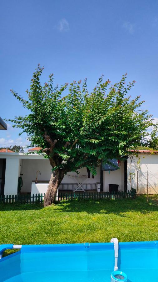 House With Pool And Garden In Esmoriz Near Porto Villa Dış mekan fotoğraf